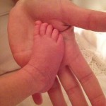 alessandra-pierelli-liam